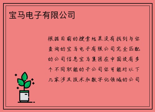 宝马电子有限公司